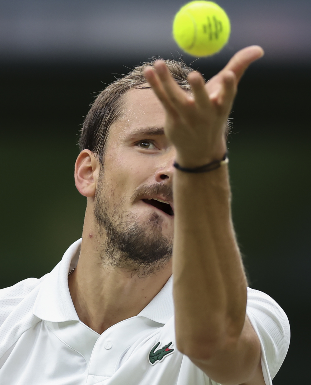 温网逆转年终总决赛，梅德韦杰夫高光表现