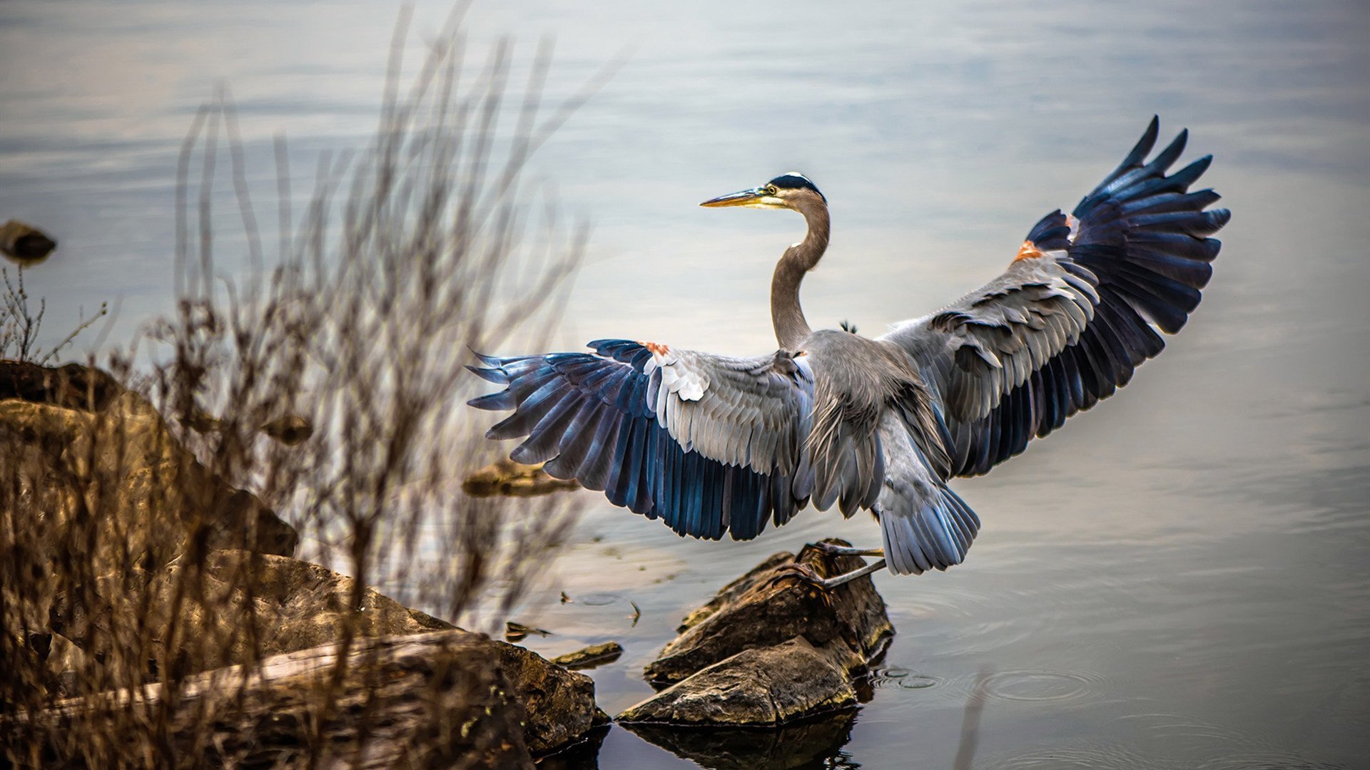 绿茵场上的末节奇迹,当德甲争冠战遇见安哥拉式逆转